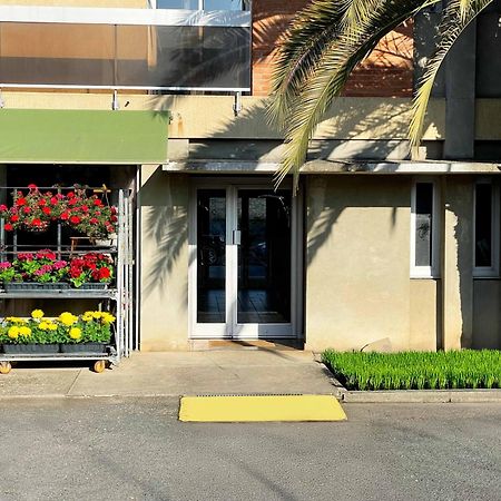La Porte De L'Echappee Verte - Salon Exterieur & Parking Prive 阿尔比 外观 照片